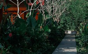 Kusfarm Bali by AHM